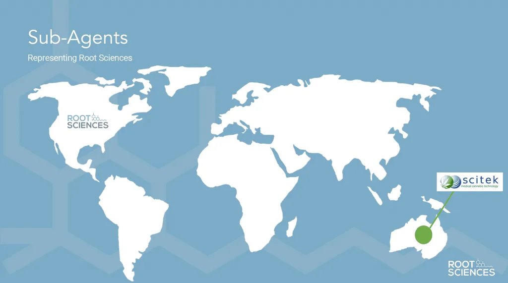 Sub-Agent-Map