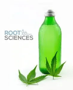 Cannabis
