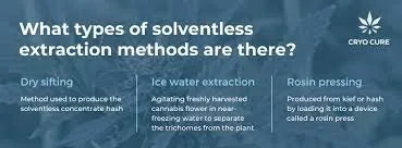 Common Types of Solventless Extraction Techniques