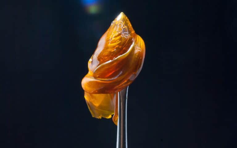 Cannabis Solventless Extraction Guide | Techniques, Benefits & More