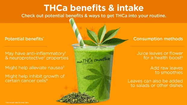 THCA's Potential Health Benefits