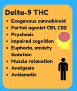 Potential Benefits of Using Delta-9 THC