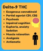 Potential Benefits of Using Delta-9 THC