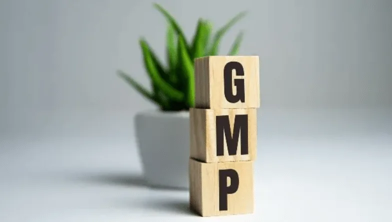 You are currently viewing GMP Certification in the Cannabis Industry: The Complete Guide
