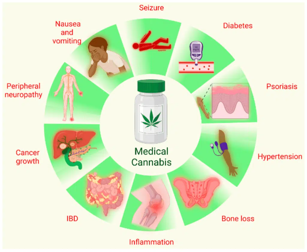Potential Side Effects of Delta 9 THC