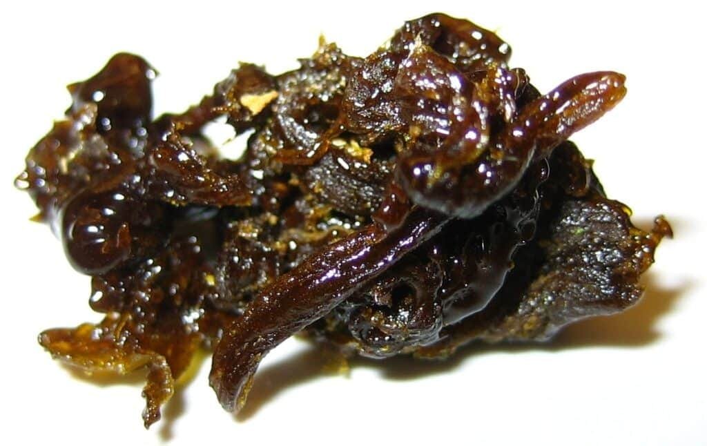 What is Hash Oil?