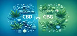 You are currently viewing CBG vs CBD: What is the difference?
