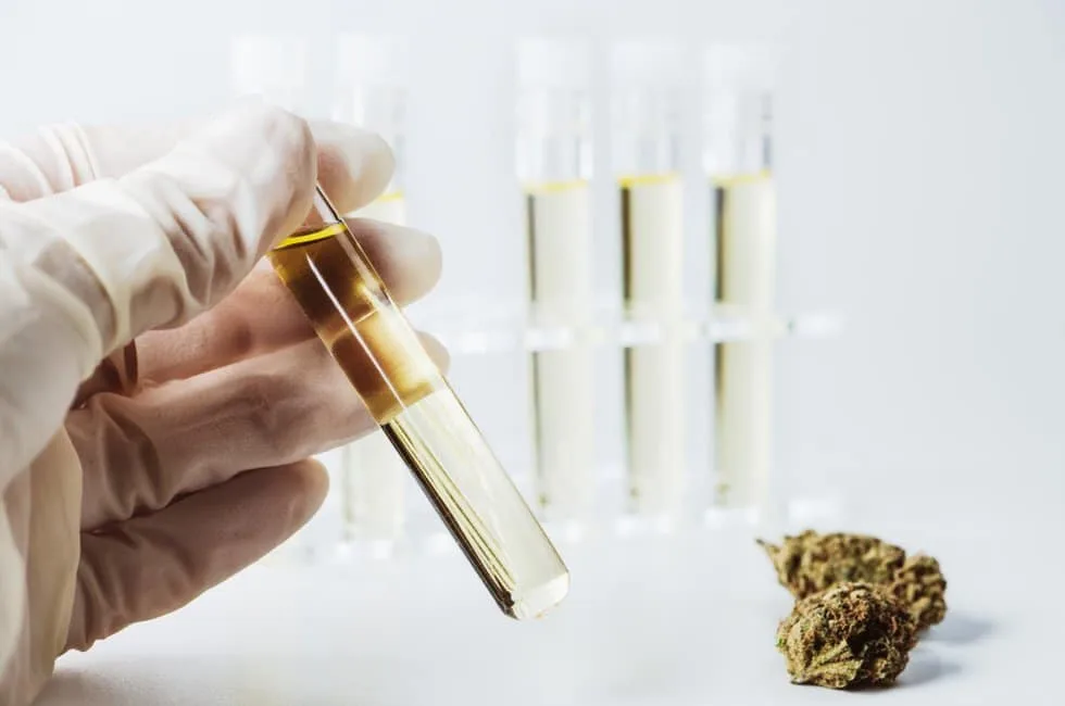 You are currently viewing Cryogenic Ethanol Extraction Explained: Benefits for Cannabis Producers