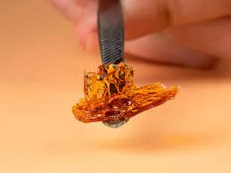 How is Live Resin Made