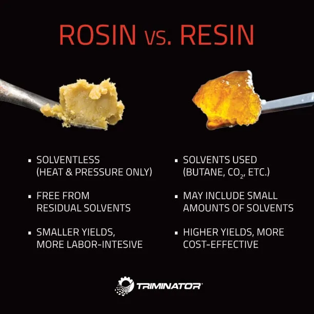 Live Resin vs Solventless Rosin: Key Differences