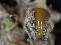 Topping on Flower