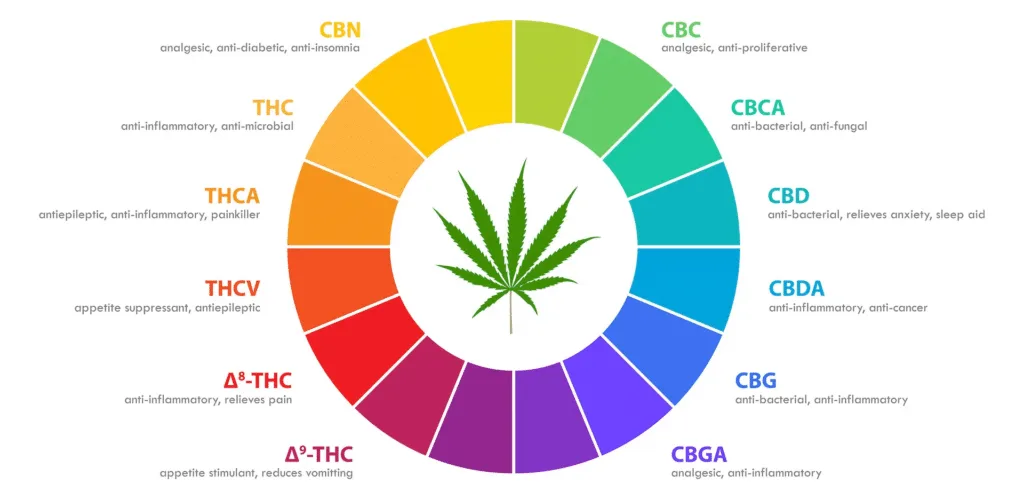 Types of THC and Their Effects