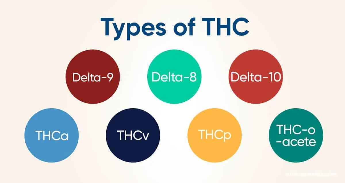 You are currently viewing Types of THC and Their Effects: What You Need to Know