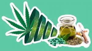 Which Solvent Is the Best for Cannabis Extraction?