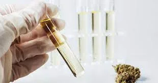 You are currently viewing PHO vs BHO Extraction Methods: What You Need to Know