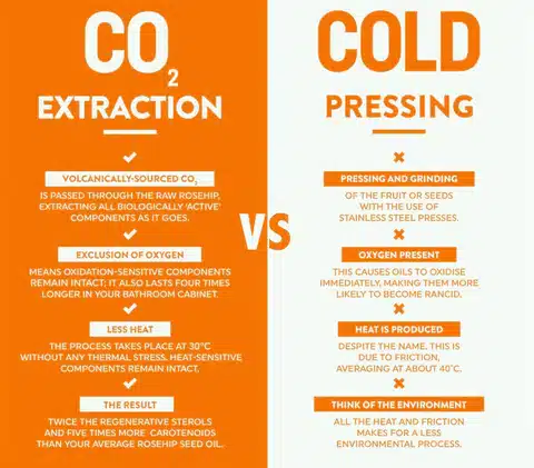 CO2 Extraction VS Cold-Pressed Extraction: Which One is The Most Effective?