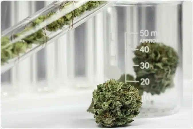 Read more about the article Cannabis Chromatography: Purification Techniques for High-Quality Extracts