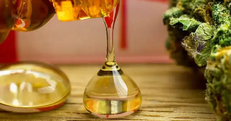 You are currently viewing Dewaxing CO2 Oil: Step-by-Step Process for Cleaner Extracts