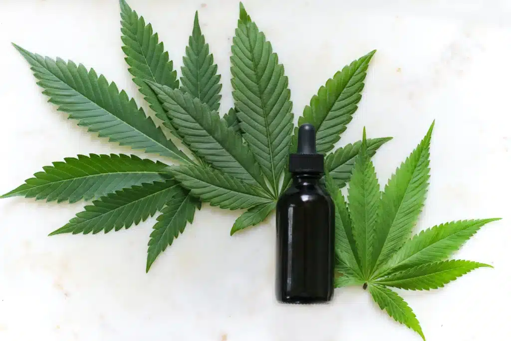 Key Uses of Homogenizers in Cannabis Processing