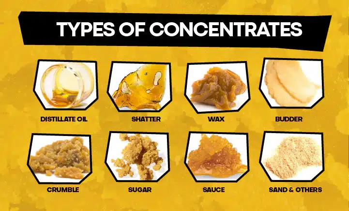 You are currently viewing Types of Cannabis Concentrates: What You Need to Know