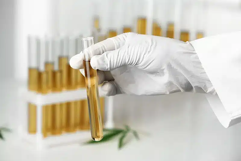 Understanding Cannabis Homogenizers and Their Importance