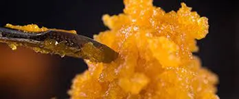 Wax