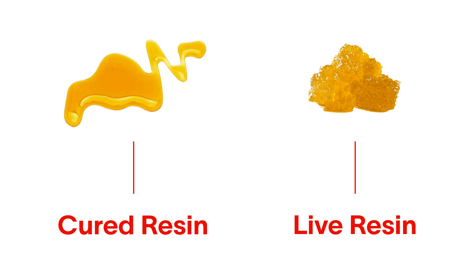 Read more about the article Cured Resin vs. Live Resin: What’s the Difference?