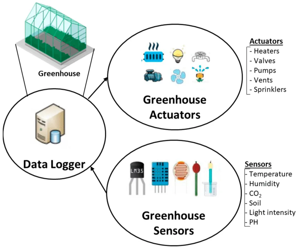 Precision Through Automation: The Smart Extractor