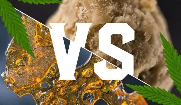 Shatter vs Wax Key Differences