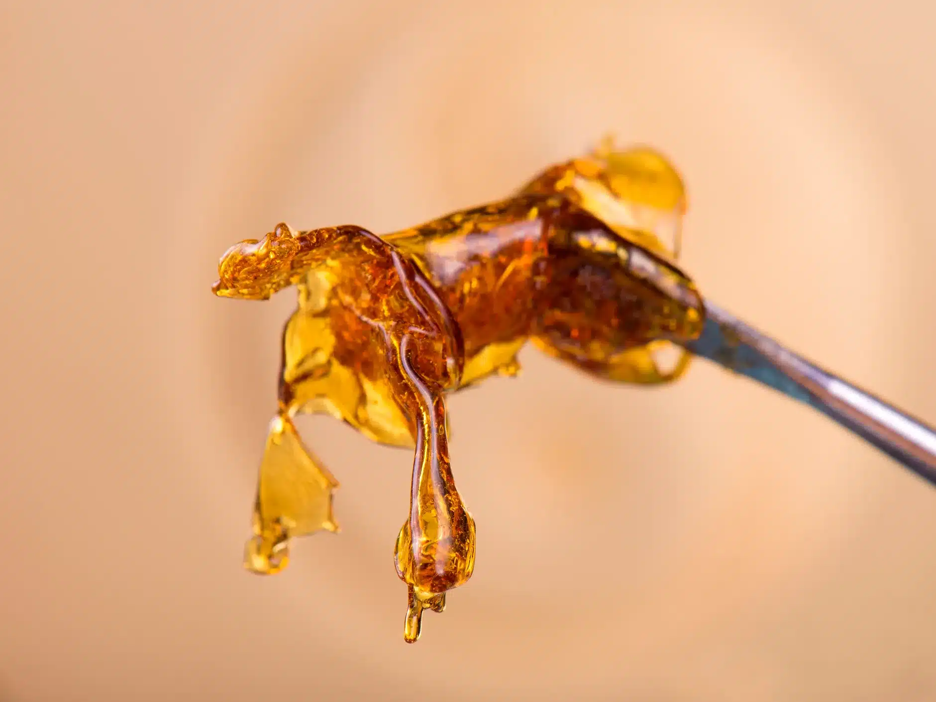 Read more about the article Shatter vs. Wax: What’s the Difference and Which Should You Choose?