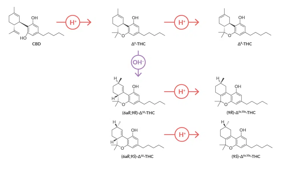 What Is THC Degradation?