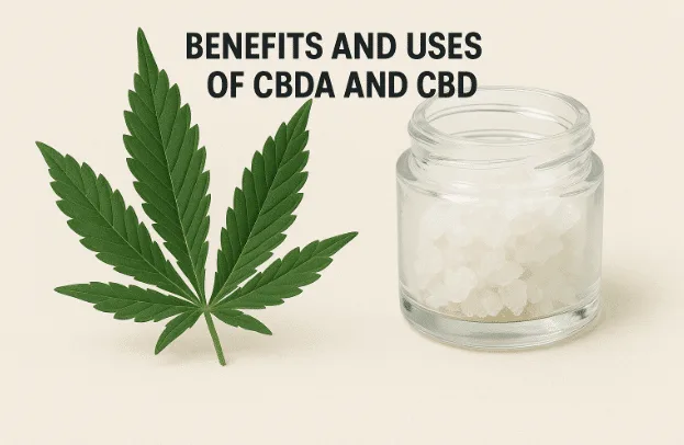 Benefits and Uses of CBDA and CBD