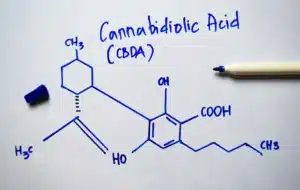 Read more about the article CBDA 101: A Complete Guide to the Benefits, Effects, and Uses of This Powerful Cannabinoid