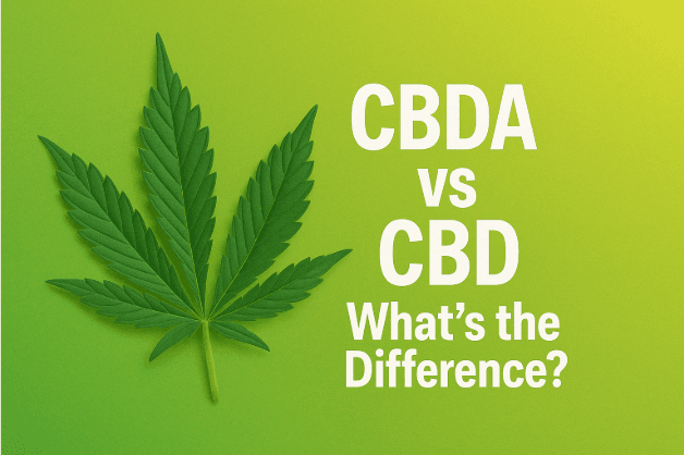 Read more about the article CBDA vs CBD: What’s the Difference?