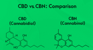 Read more about the article CBN vs CBD: What’s the Difference?