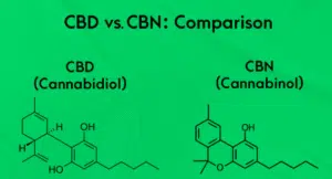 Read more about the article CBN vs CBD: What’s the Difference?