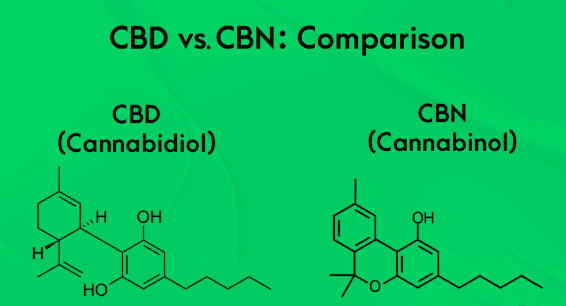 You are currently viewing CBN vs CBD: What’s the Difference?