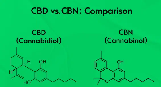 You are currently viewing CBN vs CBD: What’s the Difference?