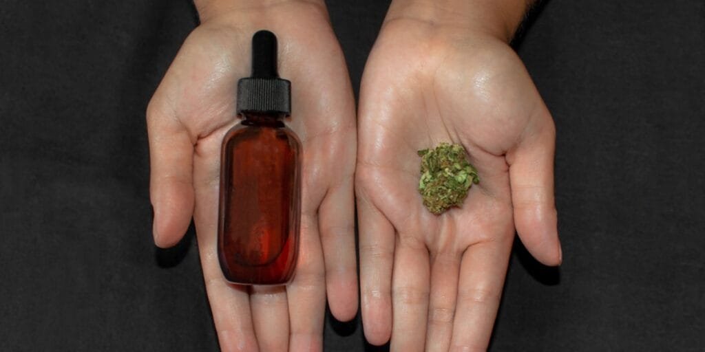 How Are CBN and CBD Similar?