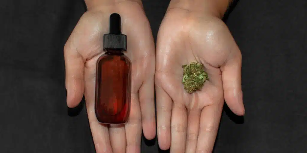 How Are CBN and CBD Similar?