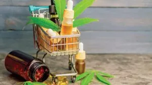 Read more about the article List of Terpenes and Their Effects: Benefits, Types, and Uses in Cannabis