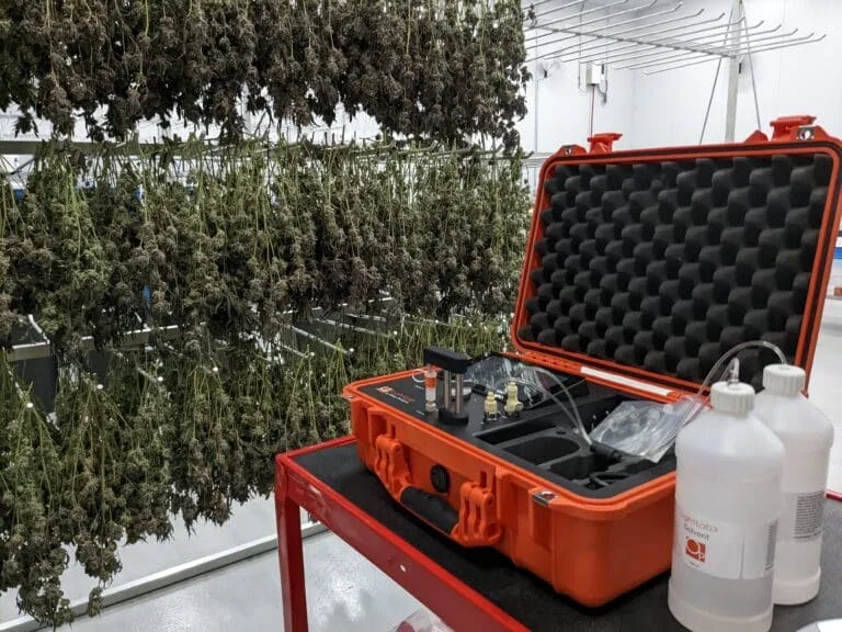 PXL 20220804 135527388