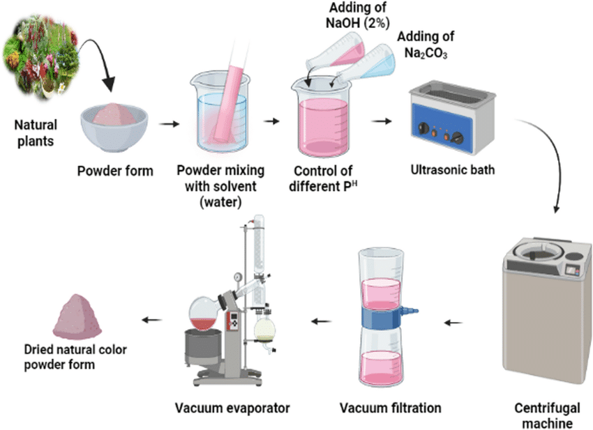 The Ultrasonic Extraction Process (Step-by-Step)