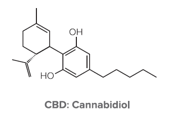 What is CBD?