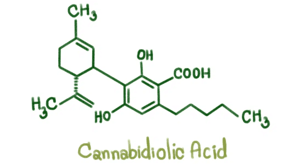 What is CBDA?