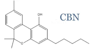 What is CBN (Cannabinol)?