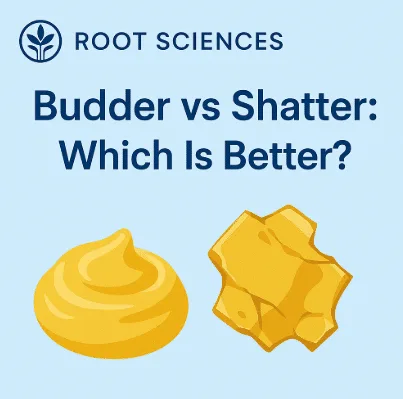Budder vs Shatter: Which is Better?