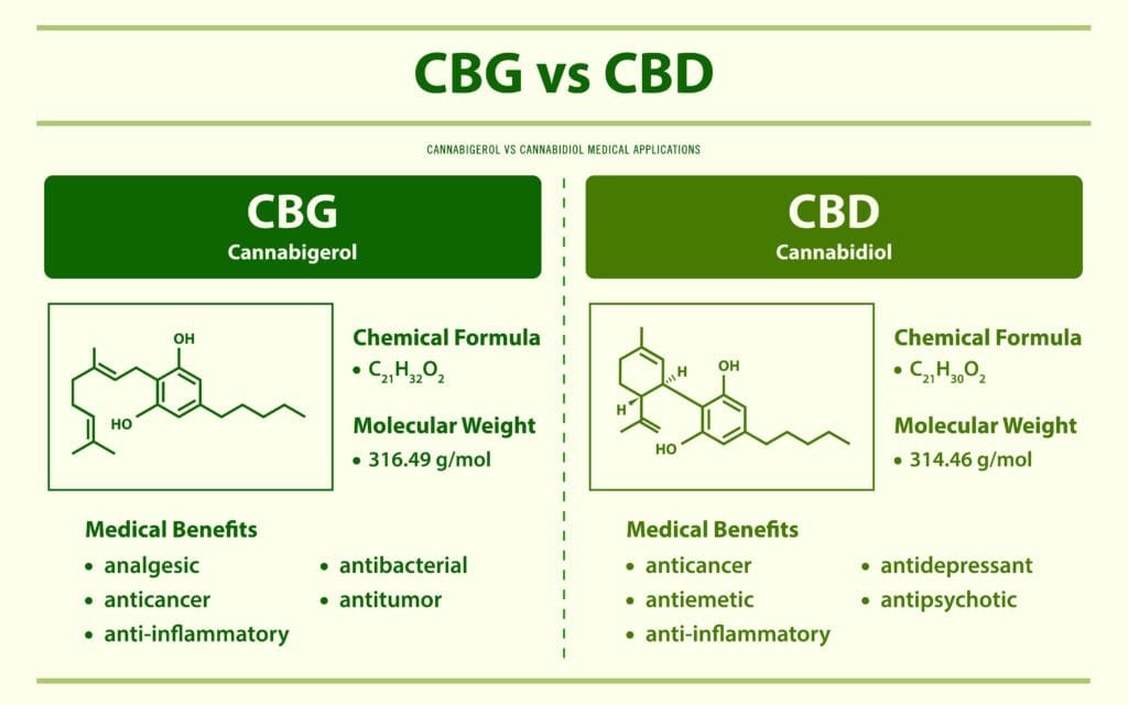 CBG vs. CBD: What's the Difference?