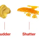 Shatter vs Budder: What’s the Difference