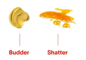 Read more about the article Shatter vs Budder: What’s the Difference
